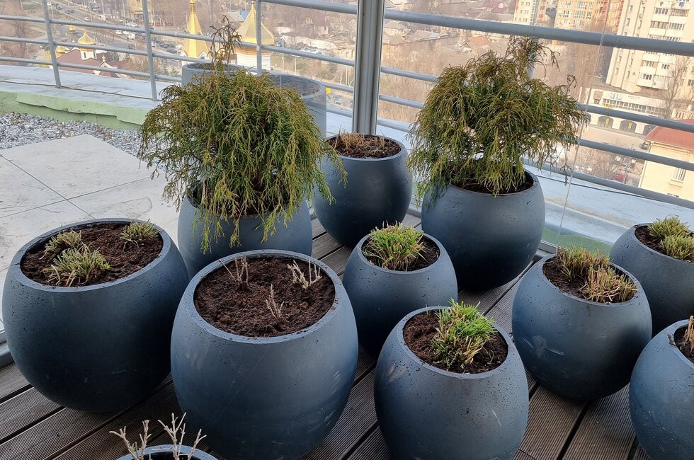 Magazine și ateliere  de ghivece pentru plante de interior și exterior
