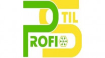 Profi-Stil
