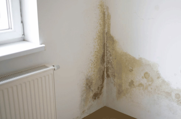 Mucegaiul în casă: când problema pornește de la fundație, nu de la ventilație