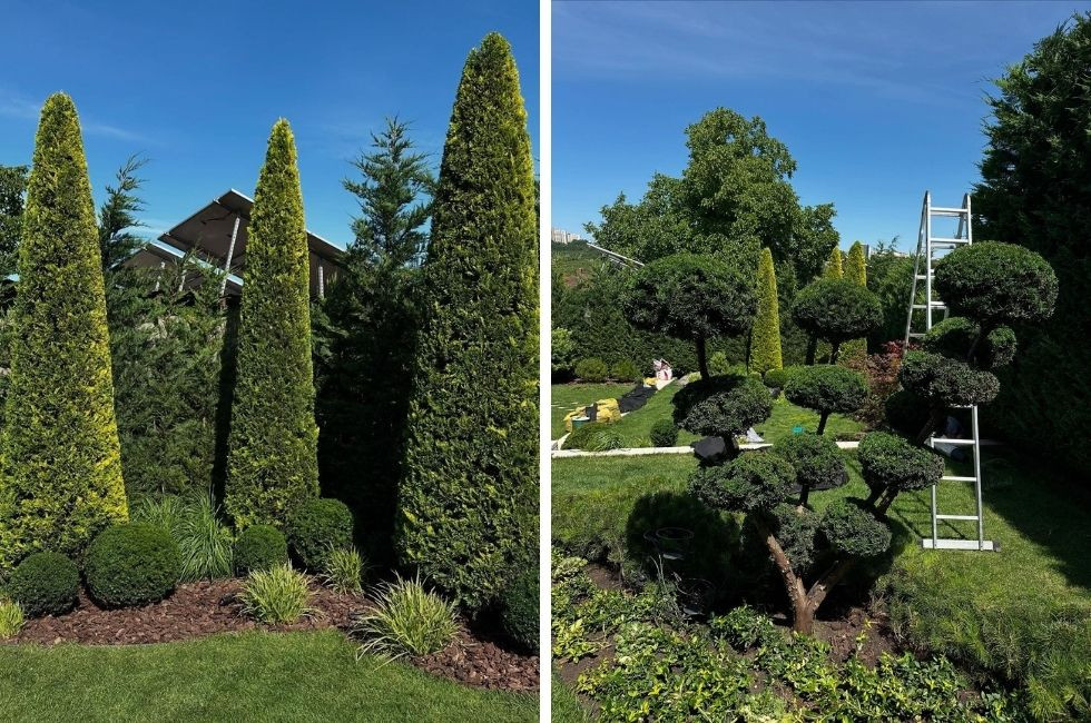O grădină frumoasă nu începe cu plantarea copacilor. Cum transformă Art Garden o curte într-un spațiu verde care poate fi întreținut ușor